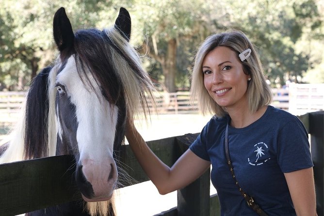 Gypsy Gold Horse Farm Tour - Group Size and Accessibility