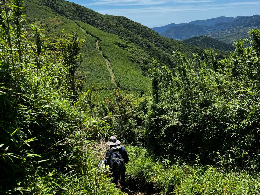 Hakone: Traverse the Hakone Caldera and Enjoy Onsen - Transportation and Logistics