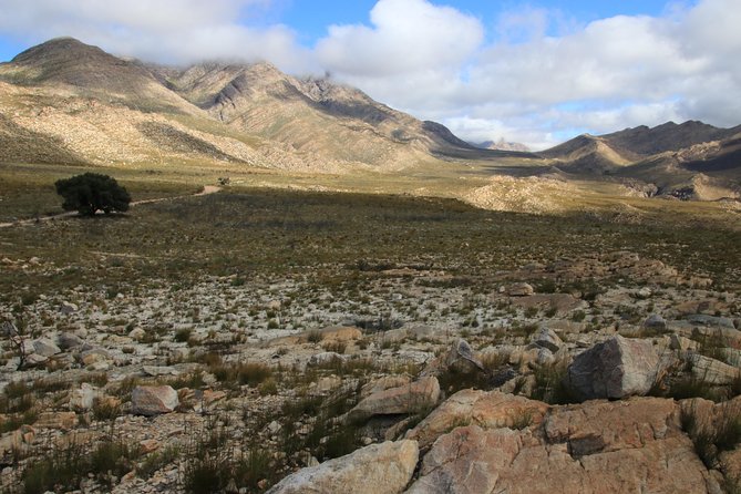 Half-Day Swartberg Pass PRIVATE Tour (Including Lunch & Transfer - Oudtshoorn) - Scenic Views and Insights