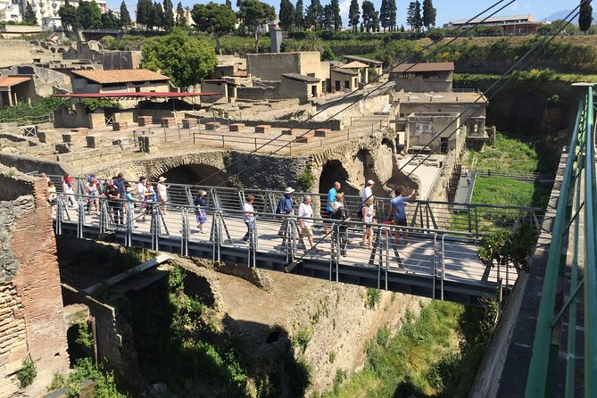 Herculaneum Private Walking Guided Tour 2 Hours - Tour Experience