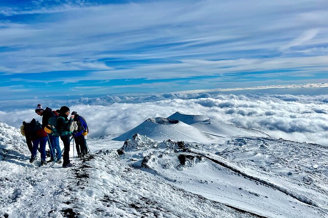 Hike Near the Summit Craters up to the Maximum Safe Altitude Currently Foreseen - Pricing and On-Site Payments