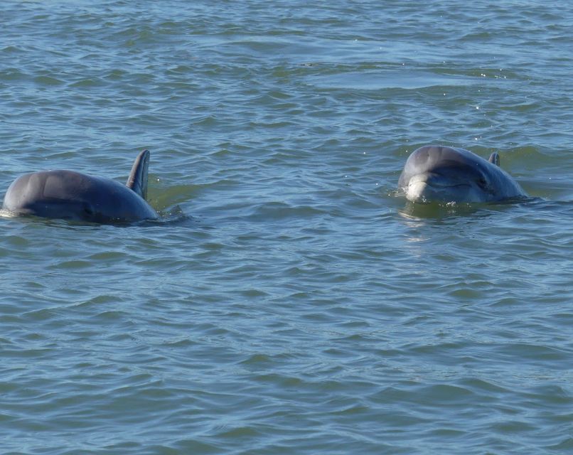 Hilton Head Island: Dolphin and Nature Tour - Meeting Point and Directions