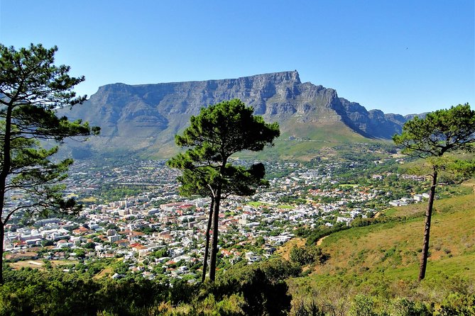 Historical City & Table Mountain - Ascending Table Mountain