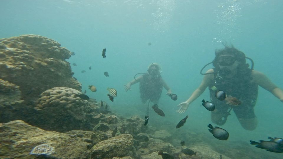 Honolulu: Beginner Scuba Diving Tour With Free Videos - Frequently Asked Questions