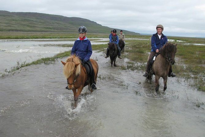 Horse Riding Tour to the Glacier River Delta With Waterfall - Suitability for Riders