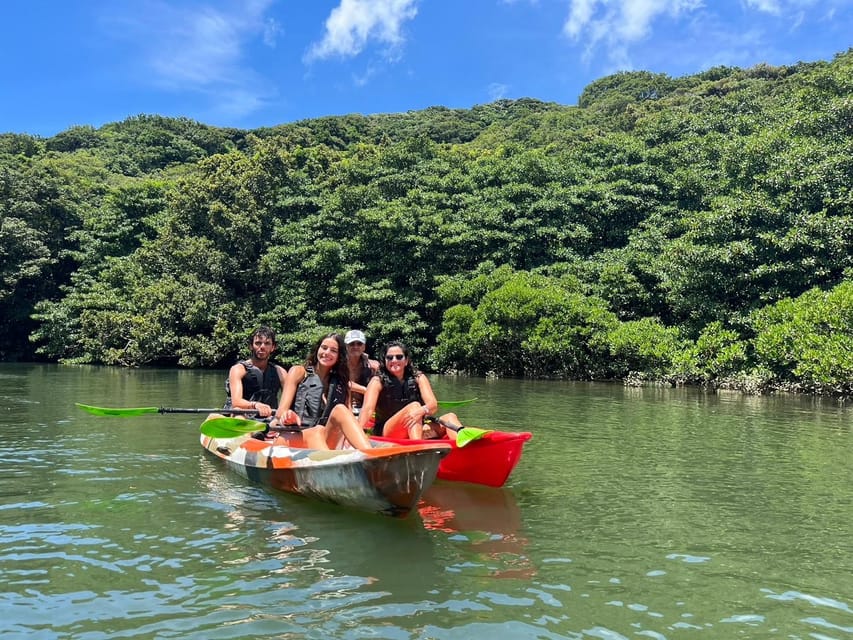 Iriomote Island: Mangrove River Canoe Cruising Tour - Pricing and Reservation Details