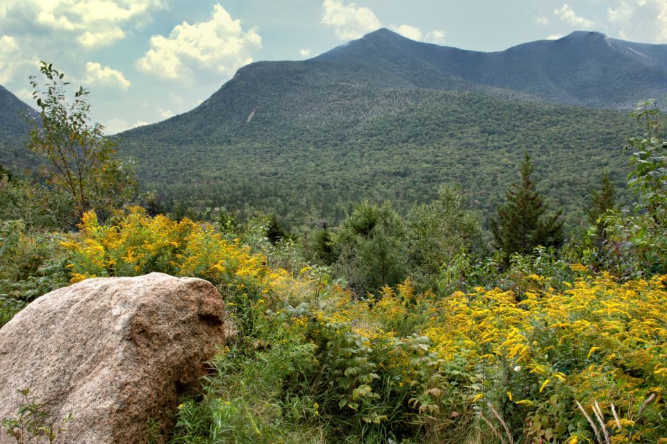 Kancamagus Highway: Breathtaking Fall Foliage Driving Tour - Otter Lake and Moose Spotting