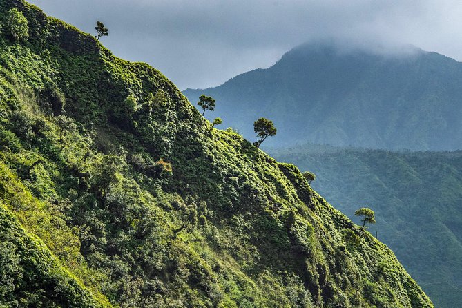 Kauai ECO Adventure Helicopter Tour - Communication and Pilot Qualifications