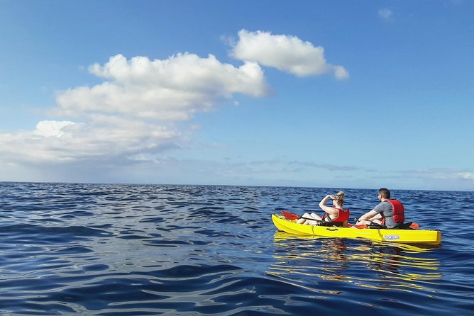 Kayak With Dolphin & Turtle Watching Private Tour - Snorkeling Opportunities