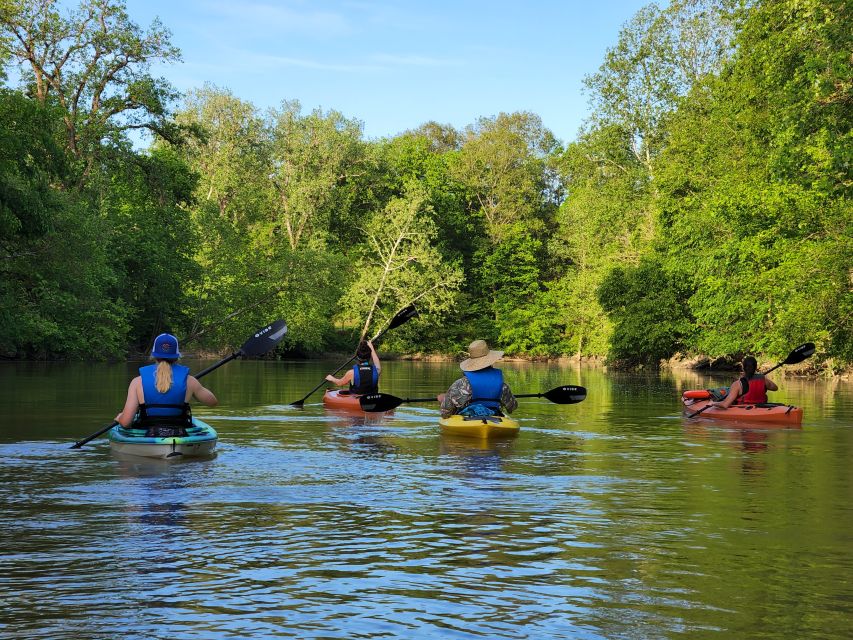 Kayak Zanesvilles Y-Bridge & Scenic Waterways - Post-Activity Celebration Opportunity