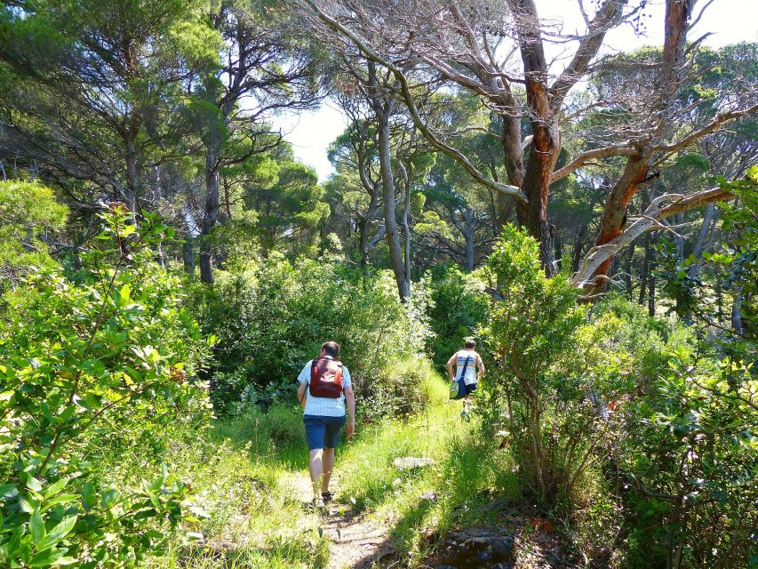 Kolocep Island: Hiking & Swimming Day Trip - Getting to the Meeting Point