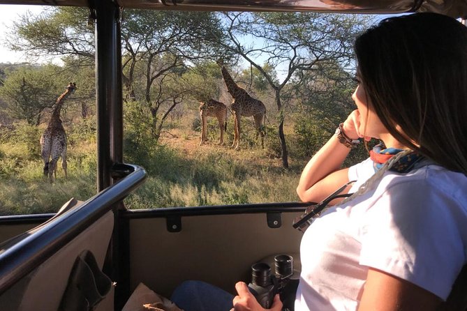 Kruger Safari Tour - Full Day - Group Size