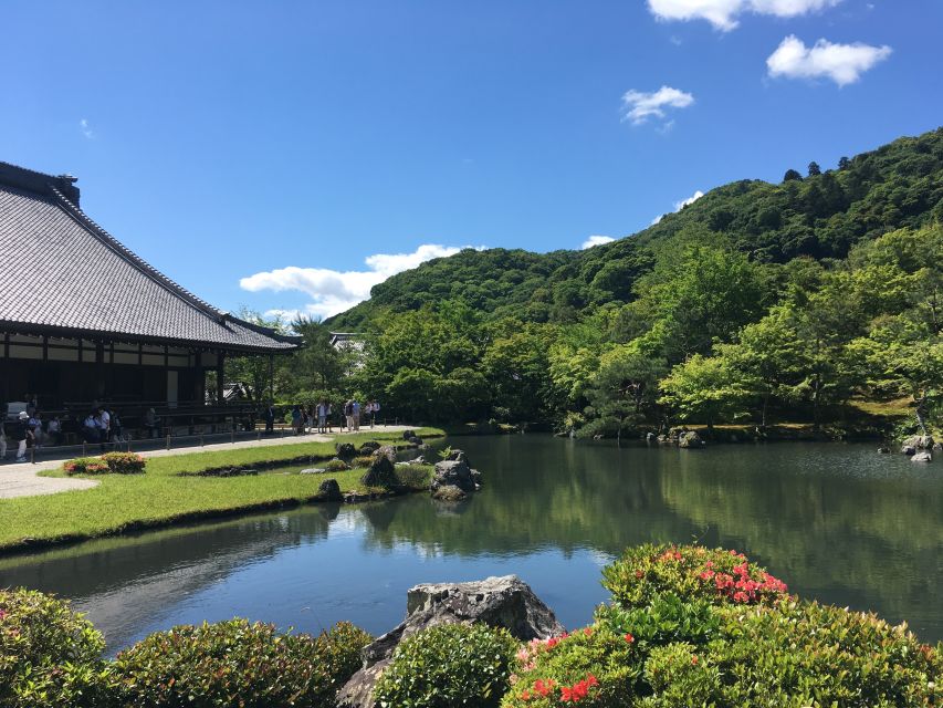 Kyoto: Morning Magic With Red Gates and Sacred Sites - Customer Feedback