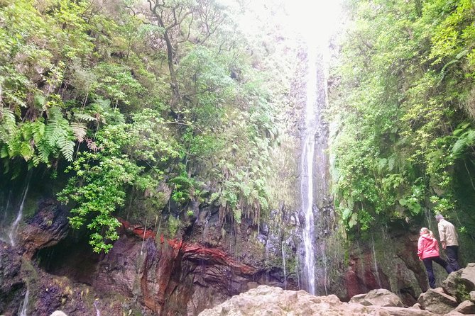 Levada & Waterfalls Hike 25 Fountains, Rabacal, Risco More Challenging Walk - Booking and Pickup