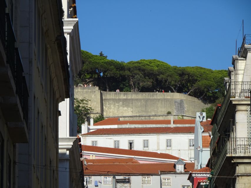 Lisbon Self-Guided Walking Tour and Scavenger Hunt - Accessibility and Pet-Friendliness