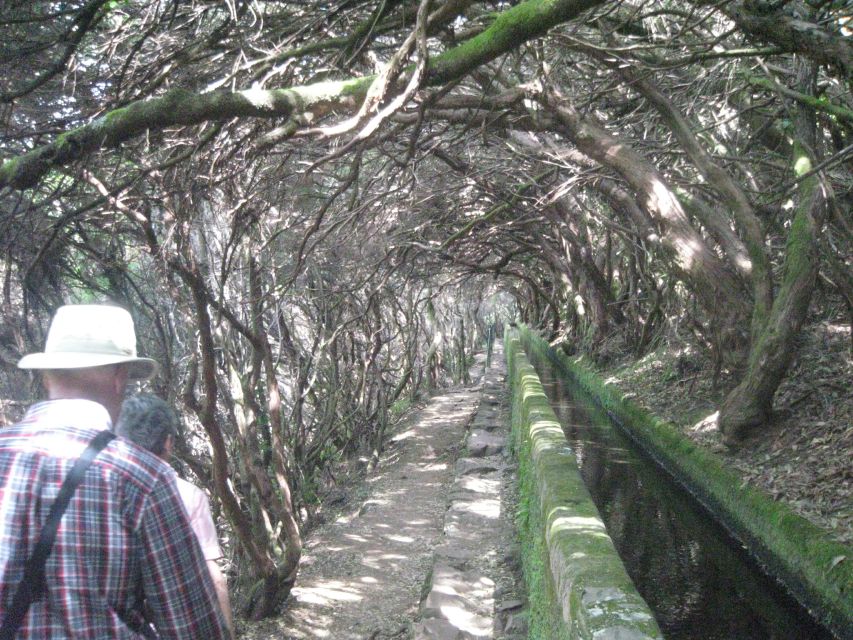 Madeira: Mountain Walk With Lagoon and Waterfalls - Flexible Booking Options