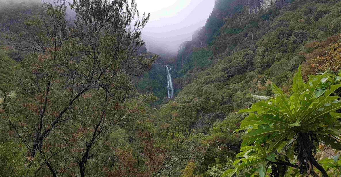 Madeira: Private Walking Tour of Levada Das 25 Fontes PR6 - Waterfalls and Lagoon