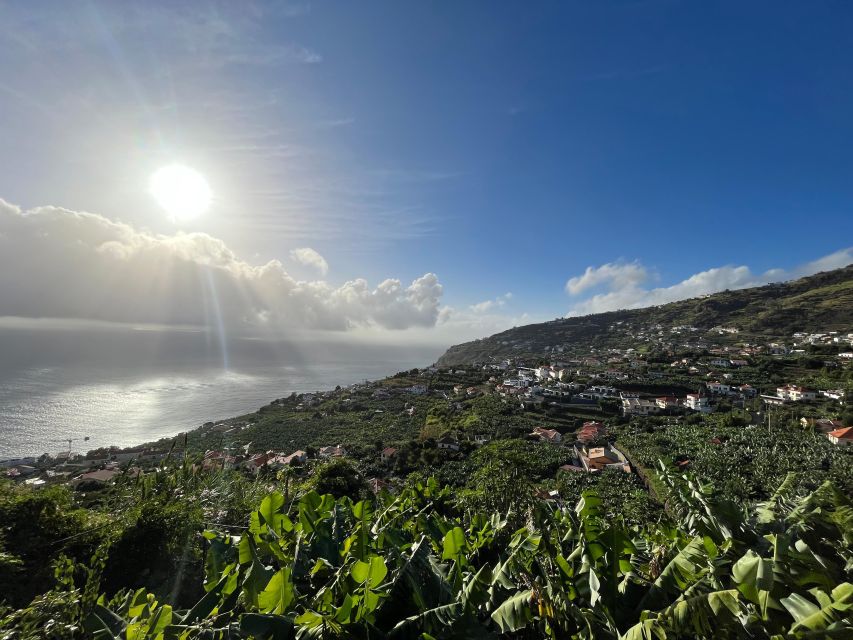 Madeira: Sunny South Side - Cabo Girão, Waterfall Anjos - Cabo Girão Skywalk Experience