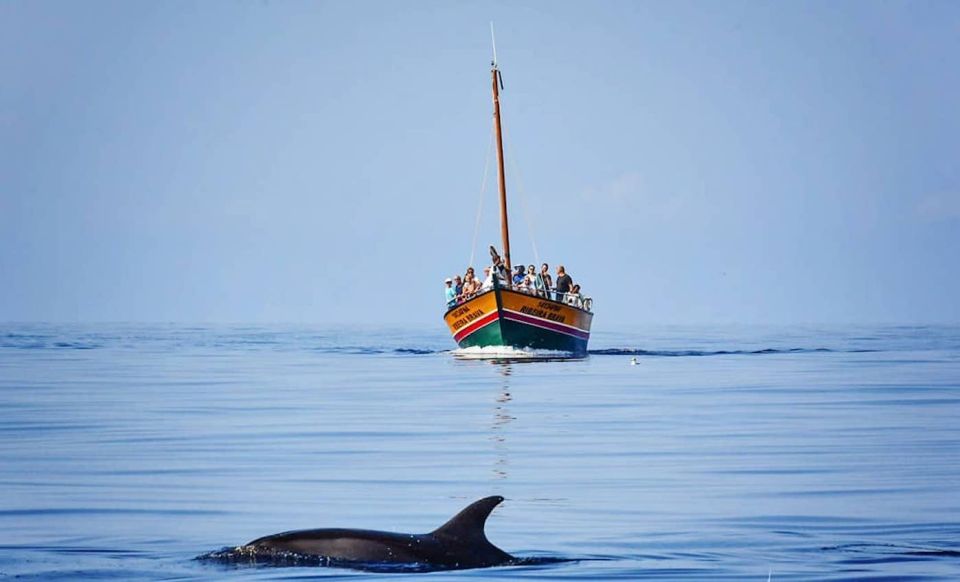 Madeira: Whale Watching Excursion in a Traditional Vessel - About Madeira