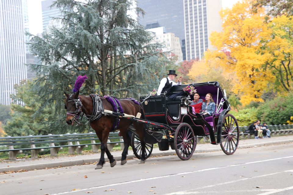 Manhattan: VIP Private Horse Carriage Ride in Central Park - Booking and Cancellation Policy