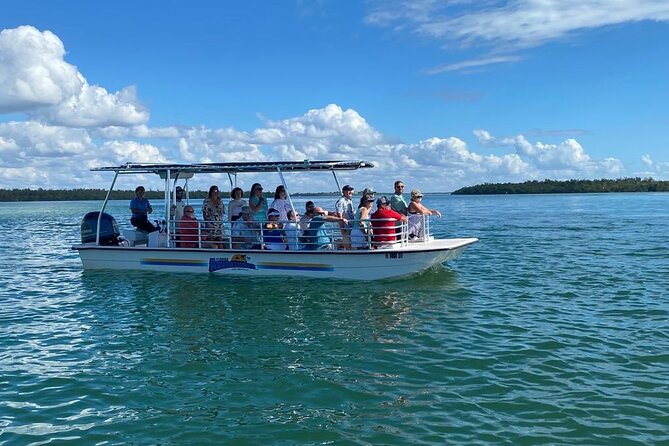 Marco Island Dolphin Sightseeing Tour - Activities and Highlights