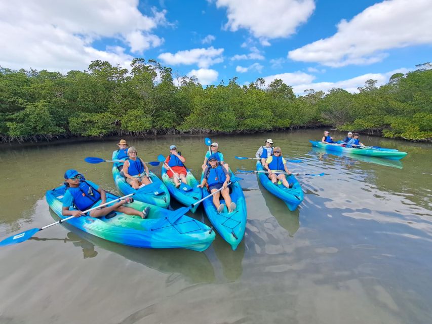 Marco Island: Kayak Mangrove Ecotour in Rookery Bay Reserve - Preparation and Meeting Point