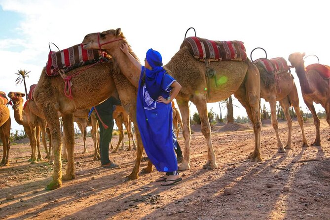 Marrakech Sunset Camel Ride in the Palm Grove - What to Expect