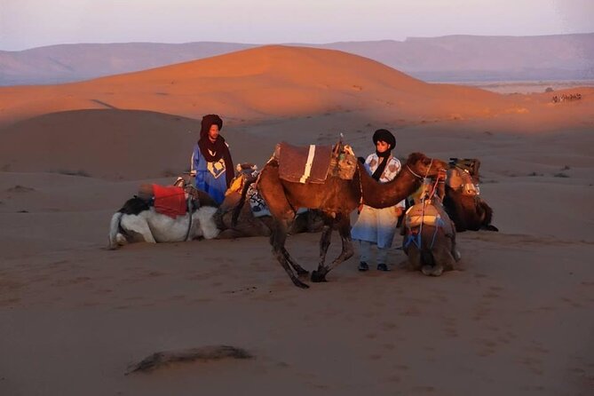 Marrakech to Merzouga 3 Day Desert Safari - Pickup and Transportation Arrangements