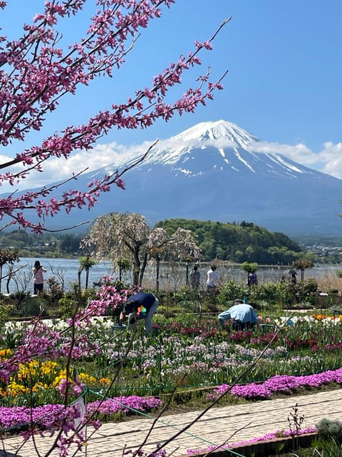 Mount Fuji and Lake Kawaguchiko Tour With English Guide - Frequently Asked Questions