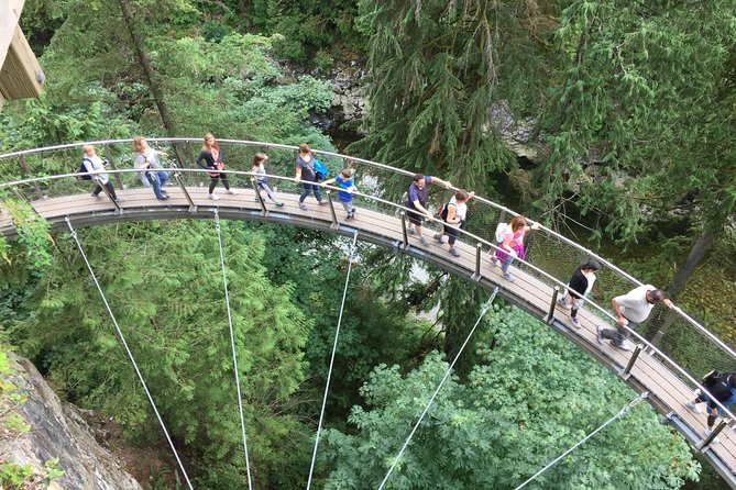 Mountain Adventure (Grouse Mountain and Capilano Suspension Bridge) - Exploring Grouse Mountain