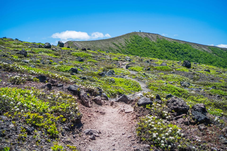 Mt. Tarumae Hiking Tour Review - Booking and Cancellation Policy