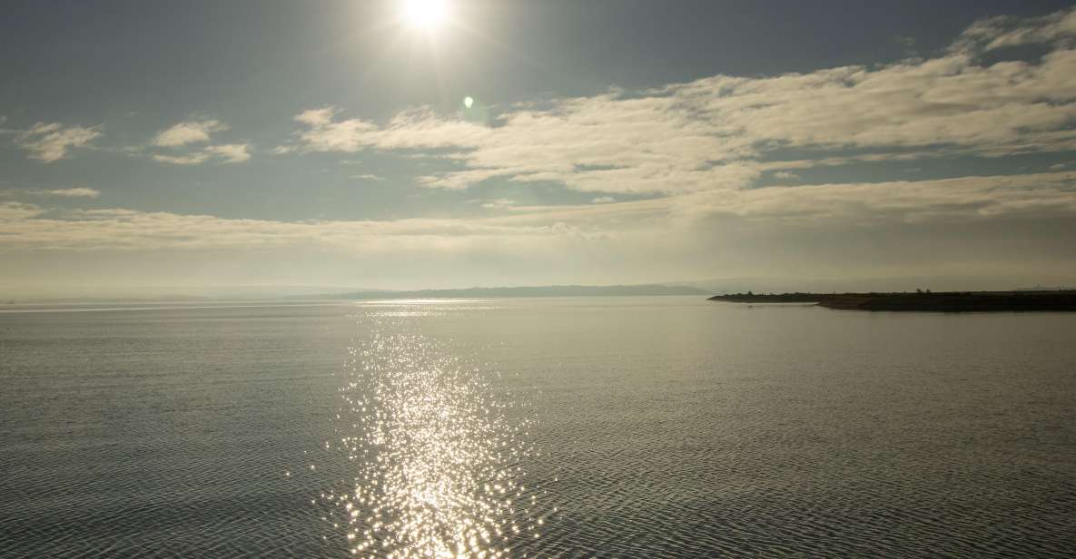 New Forest Discovery Walk (Lymington) - Wildlife and Flora Observation