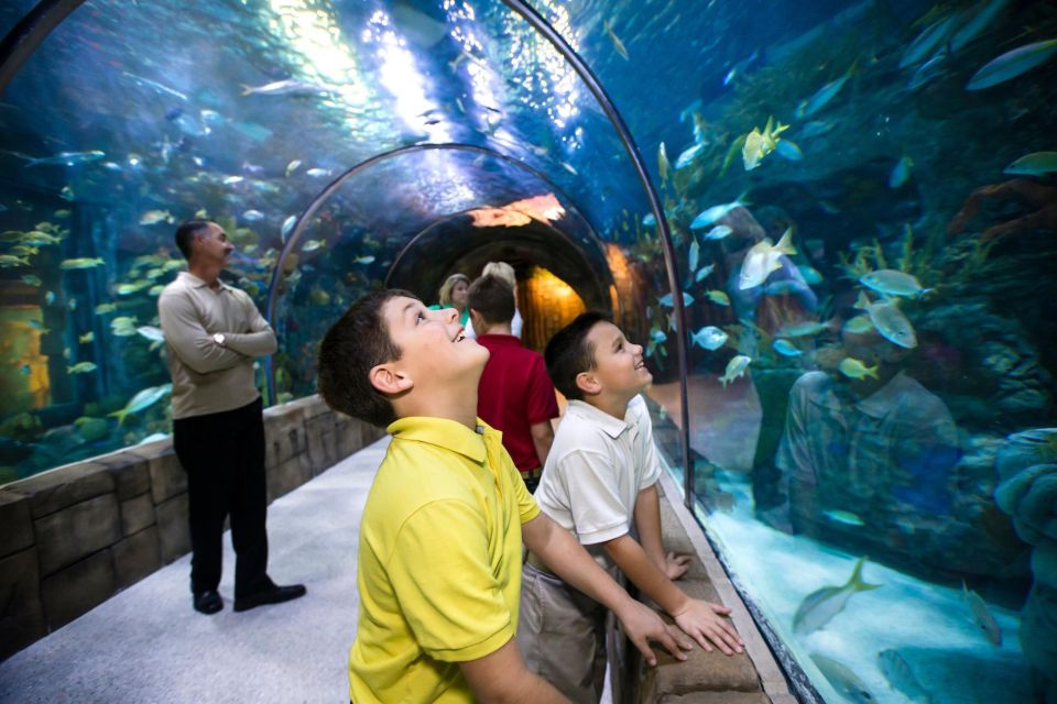 New Orleans: Audubon Aquarium & Insectarium Ticket - Combo Ticket Savings