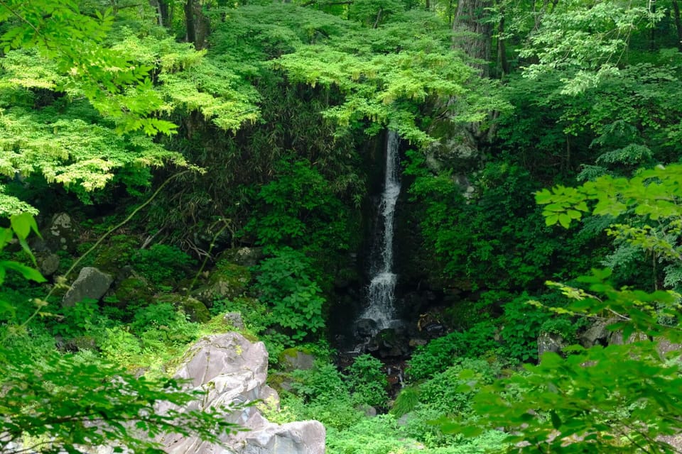 Nikko's World Heritage Tour Review - Feedback and Recommendations