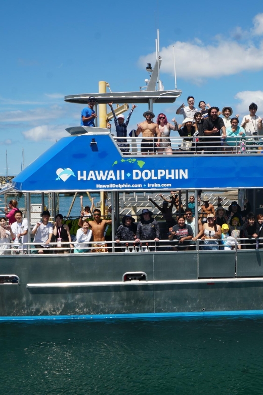 Oahu: Swim With Dolphins, Turtle Snorkel Tour and Waterslide - What to Bring