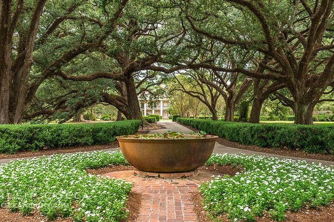 Oak Alley Plantation and Large Airboat Swamp Tour From New Orleans - Traversing the Swamp Ecosystem