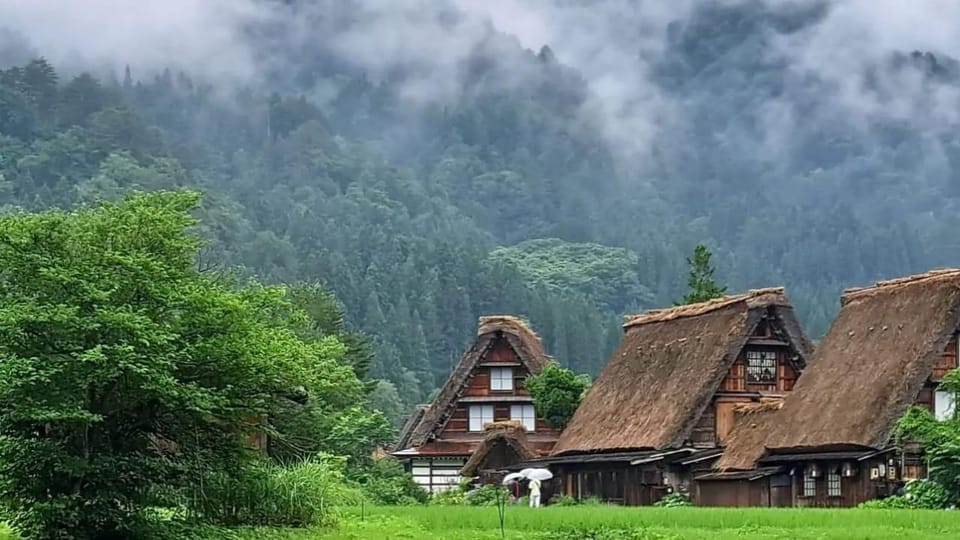 One Day Private Tour to Shirakawa-go & Takayama - Customer Reviews