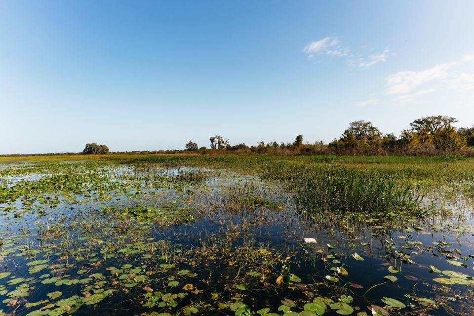 Orlando: Florida Everglades Wildlife Airboat Tour - Preparing for the Tour