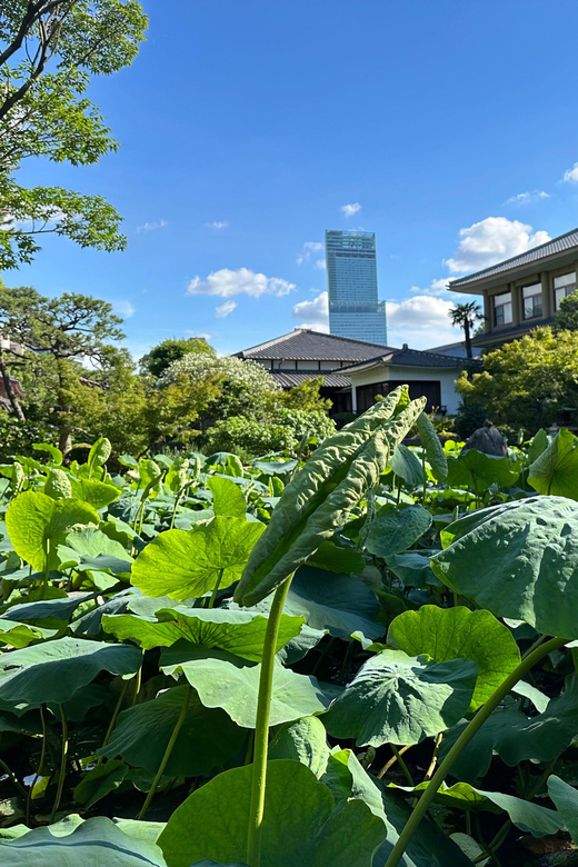 Osaka: Shitennoji, One of the Oldest Temples in Japan - Tour - Frequently Asked Questions