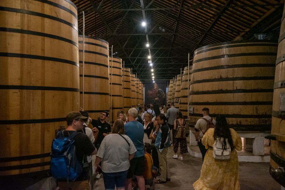 Porto: Wine Cellar Entry, Train Tour & Optional River Cruise - Frequently Asked Questions