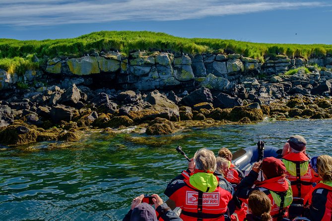 Premium Small-Group Puffin & Bird Watching Tour From Reykjavik - Booking and Cancellation