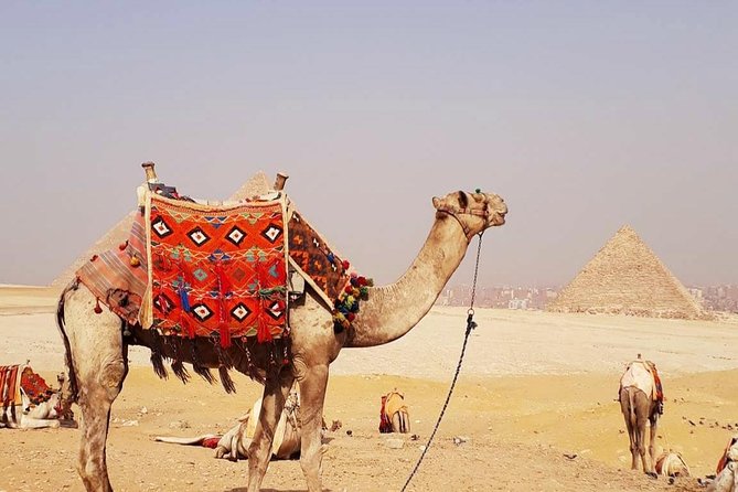 Private 2 Hours Camel Ride at Pyramids of Giza From Cairo - Camel Ride Experience