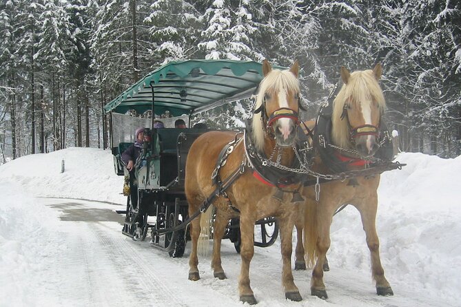 Private Horse-Drawn Sleigh Ride From Salzburg - Booking and Cancellation Policies