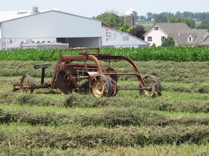 Private Lancaster County Amish Tour From Philadelphia - Group Size and Pricing