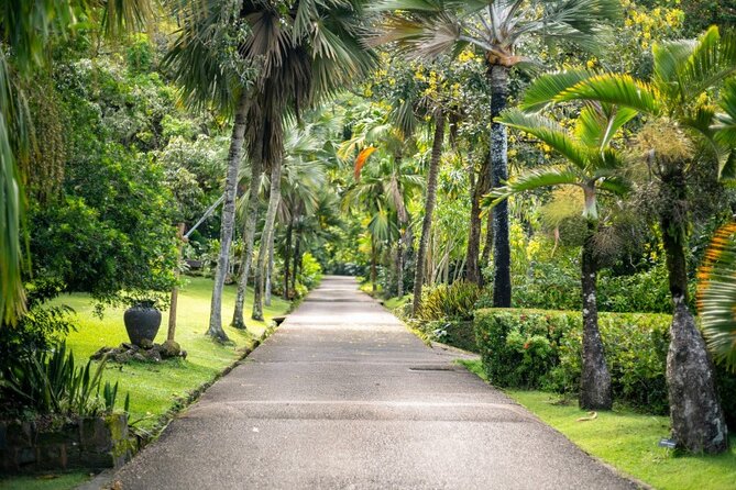 Private Mahe Island Full Day Tour With Pickup - Feedback Consideration