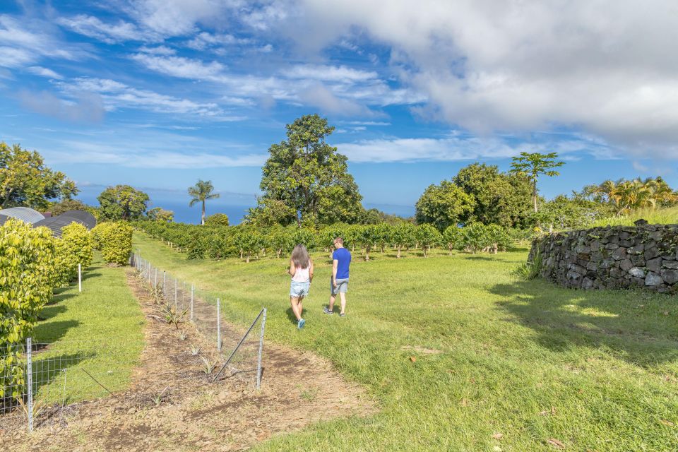 Private Shore Excursion Kona Coffee & National Historic Park - Pickup and Drop-off