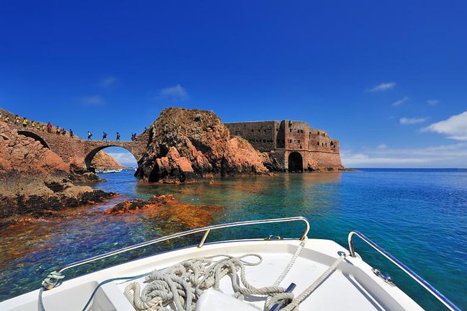 Private Tour: Berlenga Grande Island Day Trip From Lisbon - Observing Seabirds