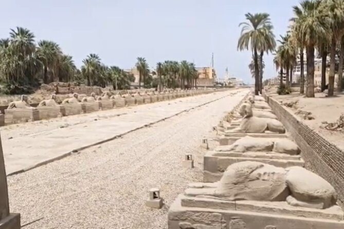 Private Tour to the Magnificent Karnak and Luxor Temples - Pricing and Guarantee