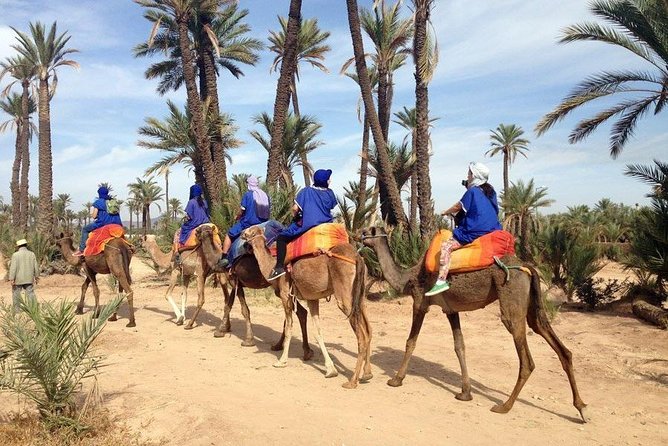 Quad and Camel Ride in the Palmgrove of Marrakech - Traveler Considerations