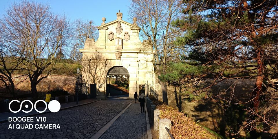 Real Life in Prague - Dog Walk From VyšEhrad to Víton - Highlights of the Experience